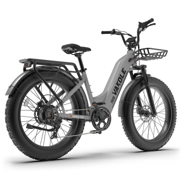 VAKOLE TR26 26″ 1000W Fat Bike E Mountain Bike EMTB avec moteur Bafang 20Ah LG Akku