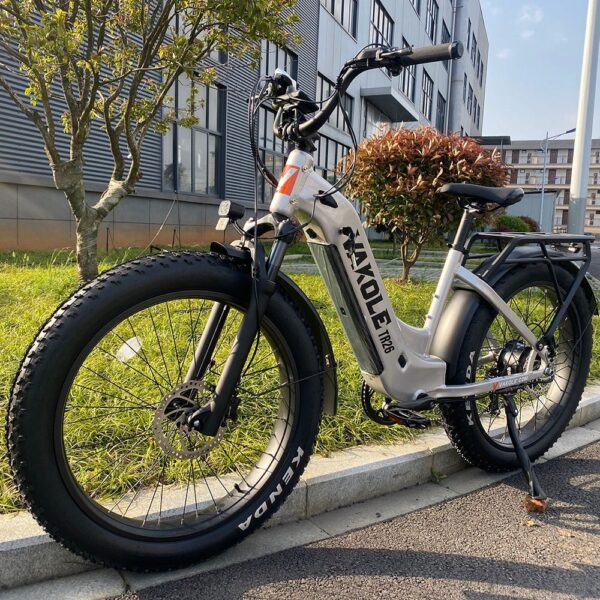 VAKOLE TR26 26″ 1000W Fat Bike E Mountain Bike EMTB avec moteur Bafang 20Ah LG Akku – Image 6